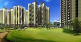 Amrapali Golf Homes