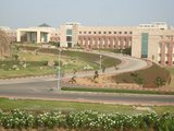 BPHC RoCkS