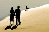 Helpful Suggestions To Take Into Account When Engaging Into Free Serious Dating Site
