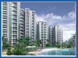 express group