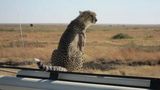 holidays - Holidays to Tanzania