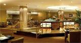 Premia Corporate City Noida Extension