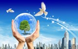 Crown Capital Eco Management Indonesia Fraud Page