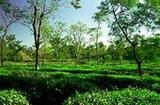 Bangla Music Video in Youtube