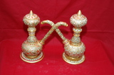 chitra