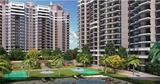 Cinnamon Avenue Noida Extension