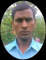 jamtara