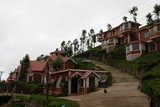 ooty