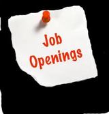 Government Job in India