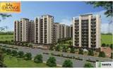 Tulip Orange Gurgaon