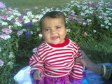 Naveed Akram