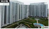DLF The Icon