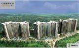 oberoi