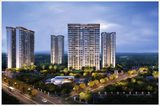 Paras Dews Sector 106 Gurgaon
