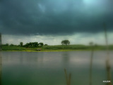 banerjee