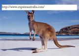 australia day