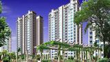 jindal global university