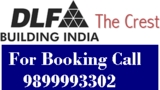 dlf limited