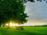 it's our time to save nature plzzzzzz hlp me