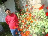 hindustan unilever