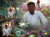 hi hope