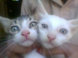 My brothers