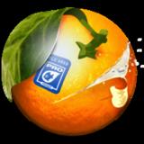 CB Banner ads Software