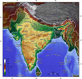 Bhartiya