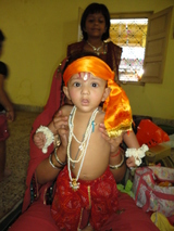 Shree Sai Traders Raipur