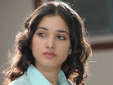 tamannah fans club