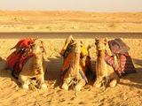 Visit the land of old Heritage with Rajasthan Heritage