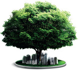 Earth Infrastructure Limited