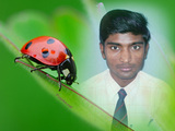 shaukat