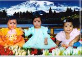 bhaskar file