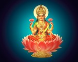 SHRI LAXMI SERVICES
