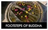 Footsteps of Buddha Tour with viajes inida