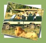 Exotic Beaches with Indian Wildlife Trips
