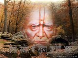swami samarth elect
