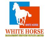 WHITE HORSE INDIA