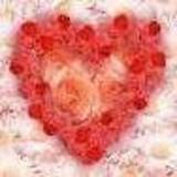PPASHISH HOODA
