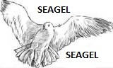 Seagel Enterprises