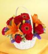 Send flowers and gifts to all over Italy.