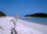 andaman