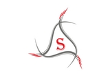SSS INFOTECH SOLUTIONS