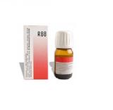 Homeopathy Treatment For Dengue