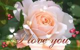 Shailesh Kumar