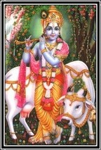 sunil sharma