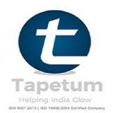 Tapetum Solar Lights