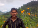 jassi bhai