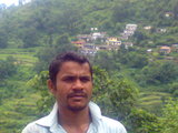 Dove shrikot negi